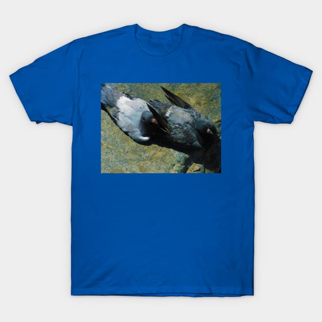 Pigeon pals T-Shirt by FriendlyComputerHelp